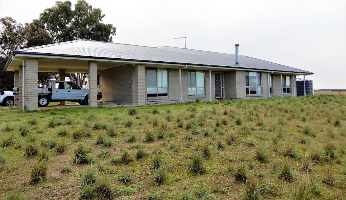 3615 McIntosh Way, Coonalpyn, SA, 5265 - Image 3