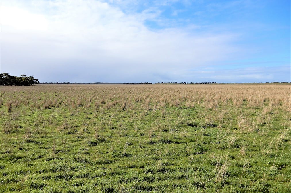 3615 McIntosh Way, Coonalpyn, SA, 5265 - Image 9