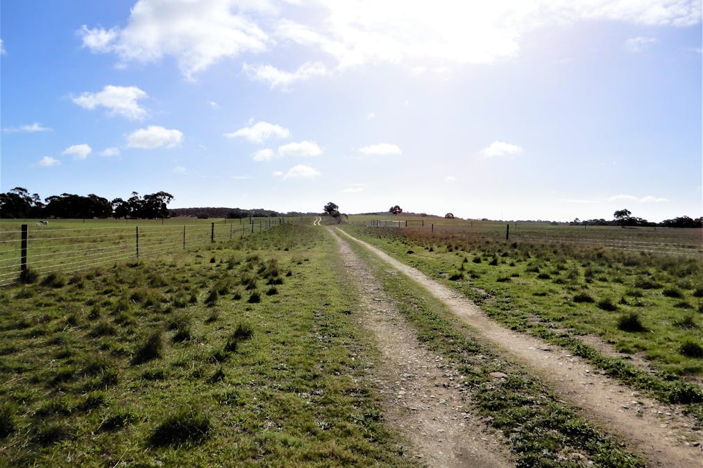 3615 McIntosh Way, Coonalpyn, SA, 5265 - Image 14