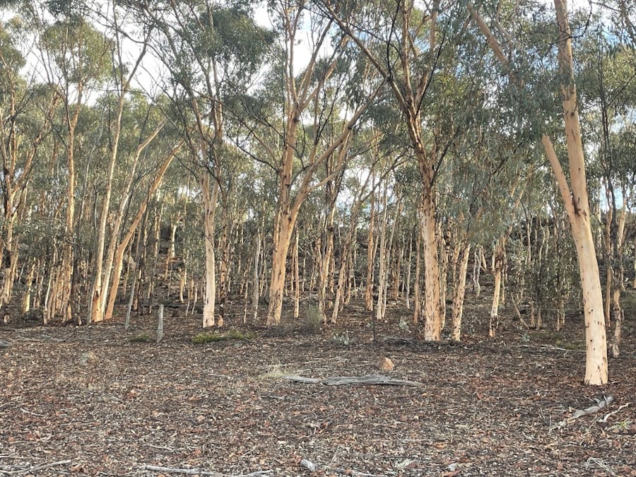3967 Great Southern Highway, Daliak, WA, 6302 - Image 8