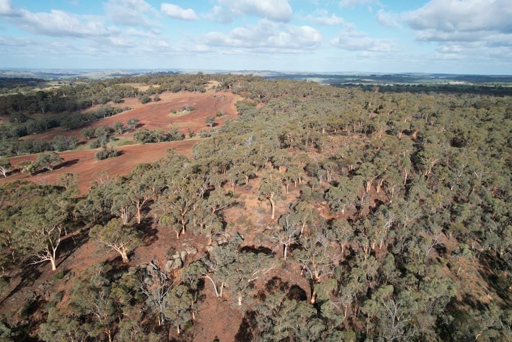 3967 Great Southern Highway, Daliak, WA, 6302 - Image 9