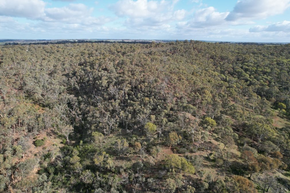 3967 Great Southern Highway, Daliak, WA, 6302 - Image 10