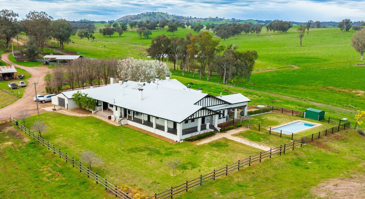 Stonehaven | 269 Stonehaven Road, Holbrook, NSW, 2644 - Image 1
