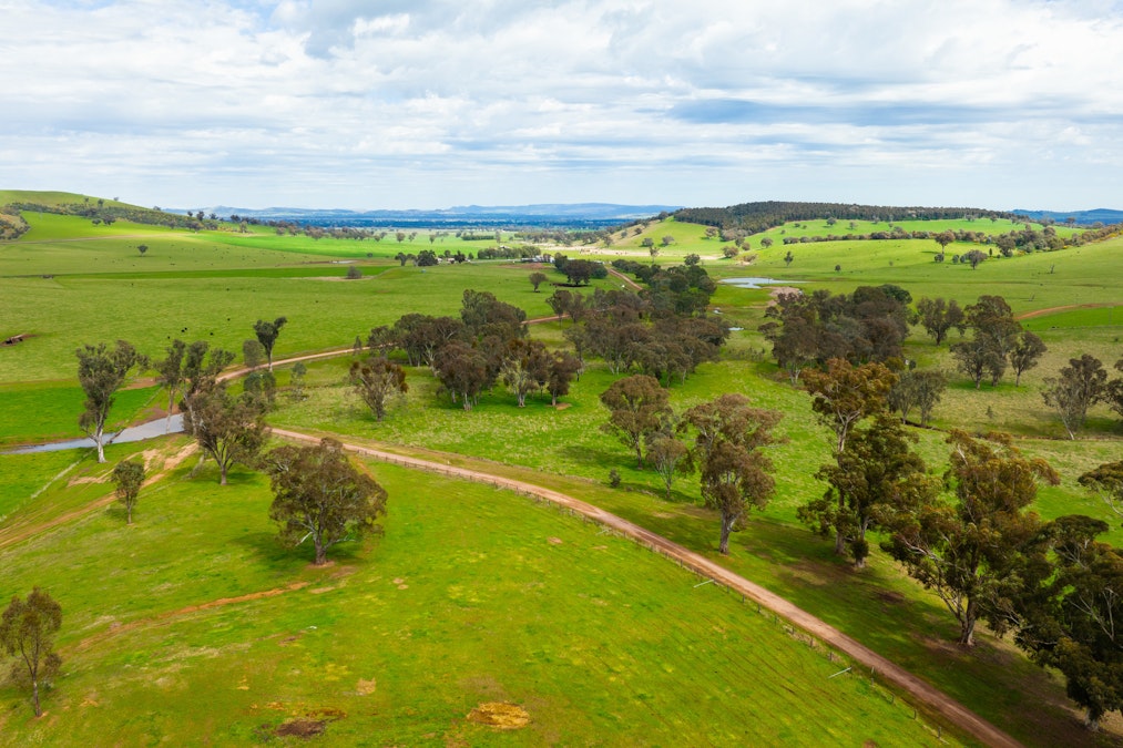 Stonehaven | 269 Stonehaven Road, Holbrook, NSW, 2644 - Image 5
