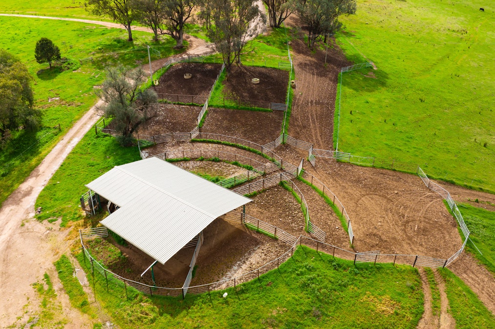 Stonehaven | 269 Stonehaven Road, Holbrook, NSW, 2644 - Image 17