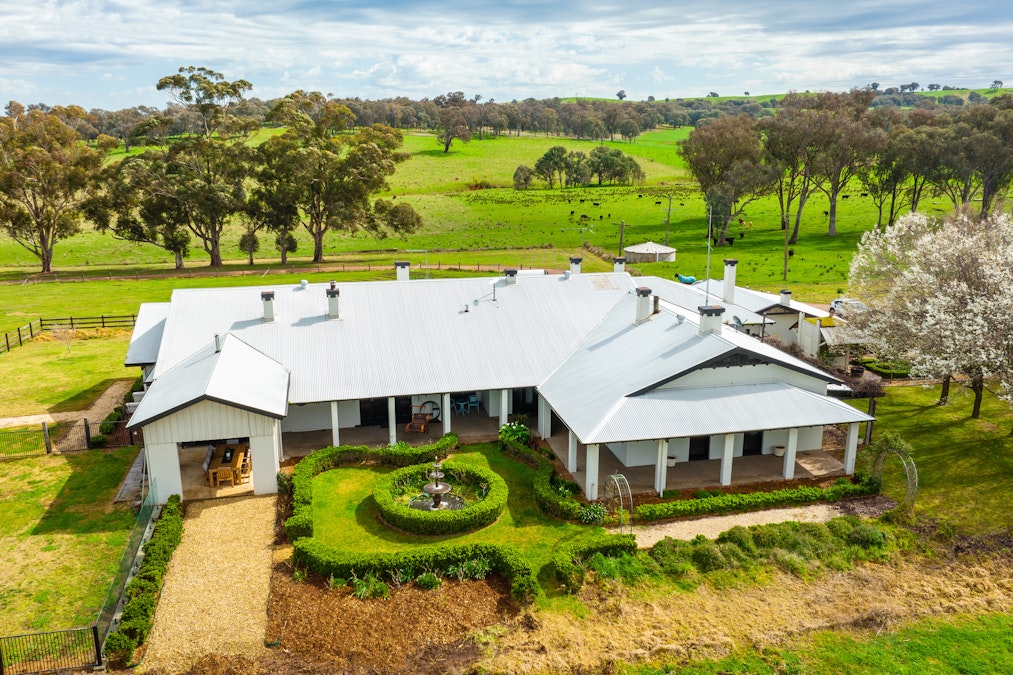 Stonehaven | 269 Stonehaven Road, Holbrook, NSW, 2644 - Image 24