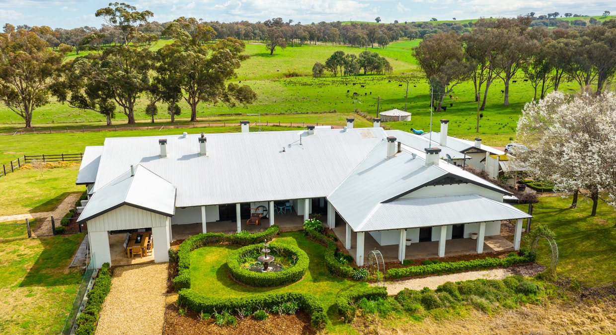 Stonehaven | 269 Stonehaven Road, Holbrook, NSW, 2644 - Image 24