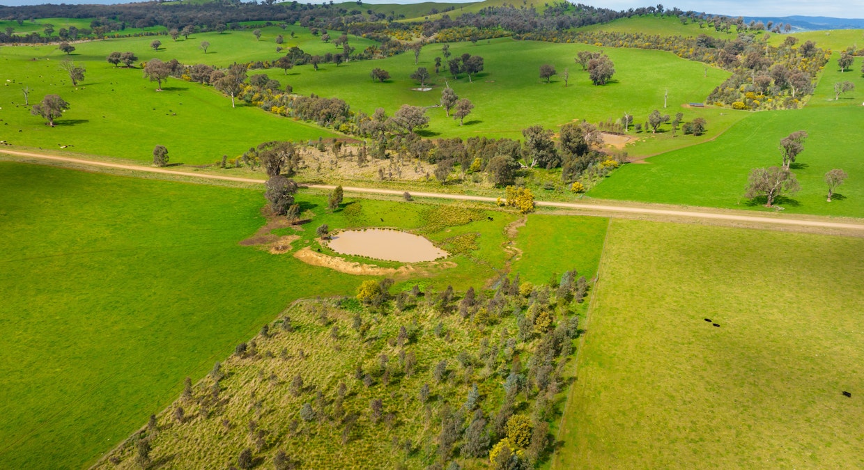 Stonehaven | 269 Stonehaven Road, Holbrook, NSW, 2644 - Image 10