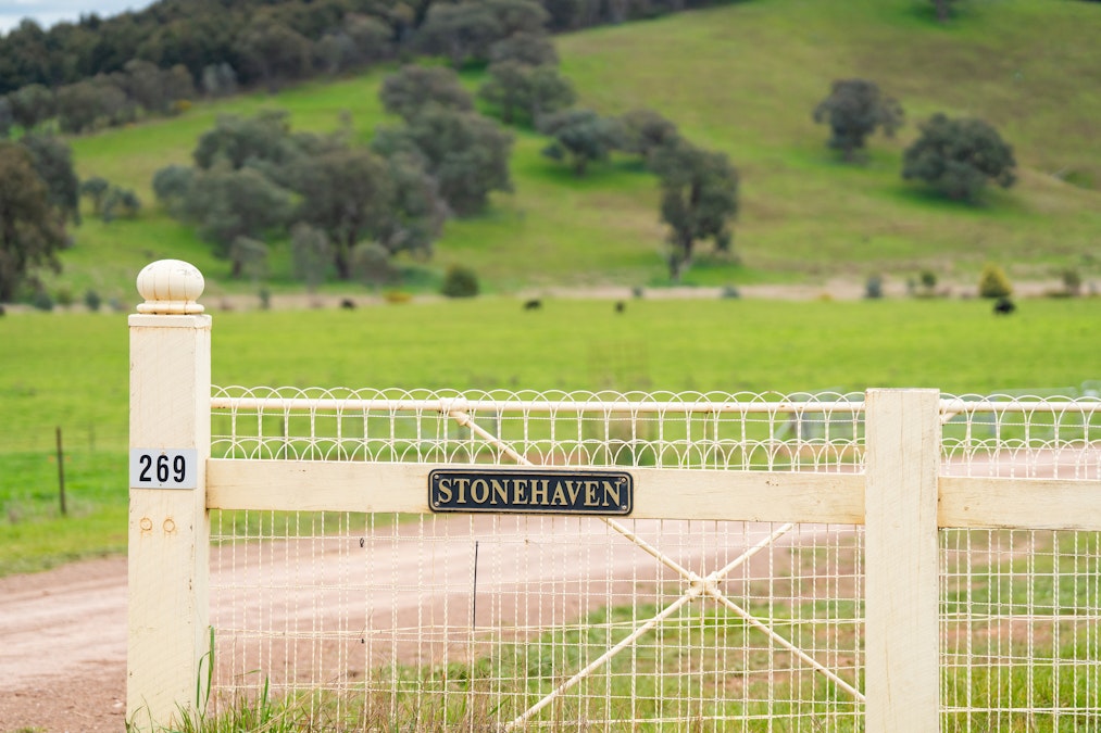 Stonehaven | 269 Stonehaven Road, Holbrook, NSW, 2644 - Image 3