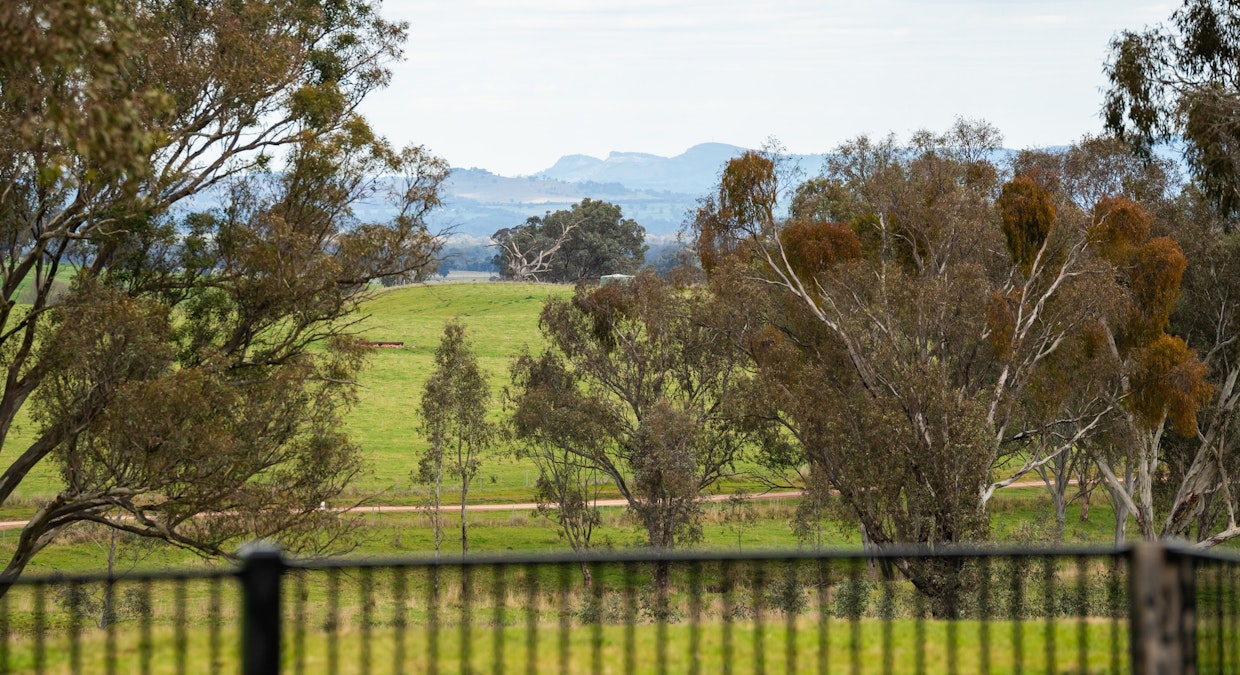 Stonehaven | 269 Stonehaven Road, Holbrook, NSW, 2644 - Image 22