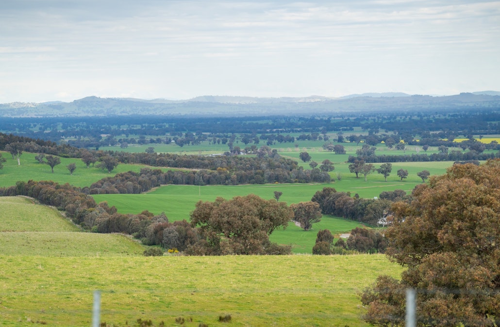 Stonehaven | 269 Stonehaven Road, Holbrook, NSW, 2644 - Image 12