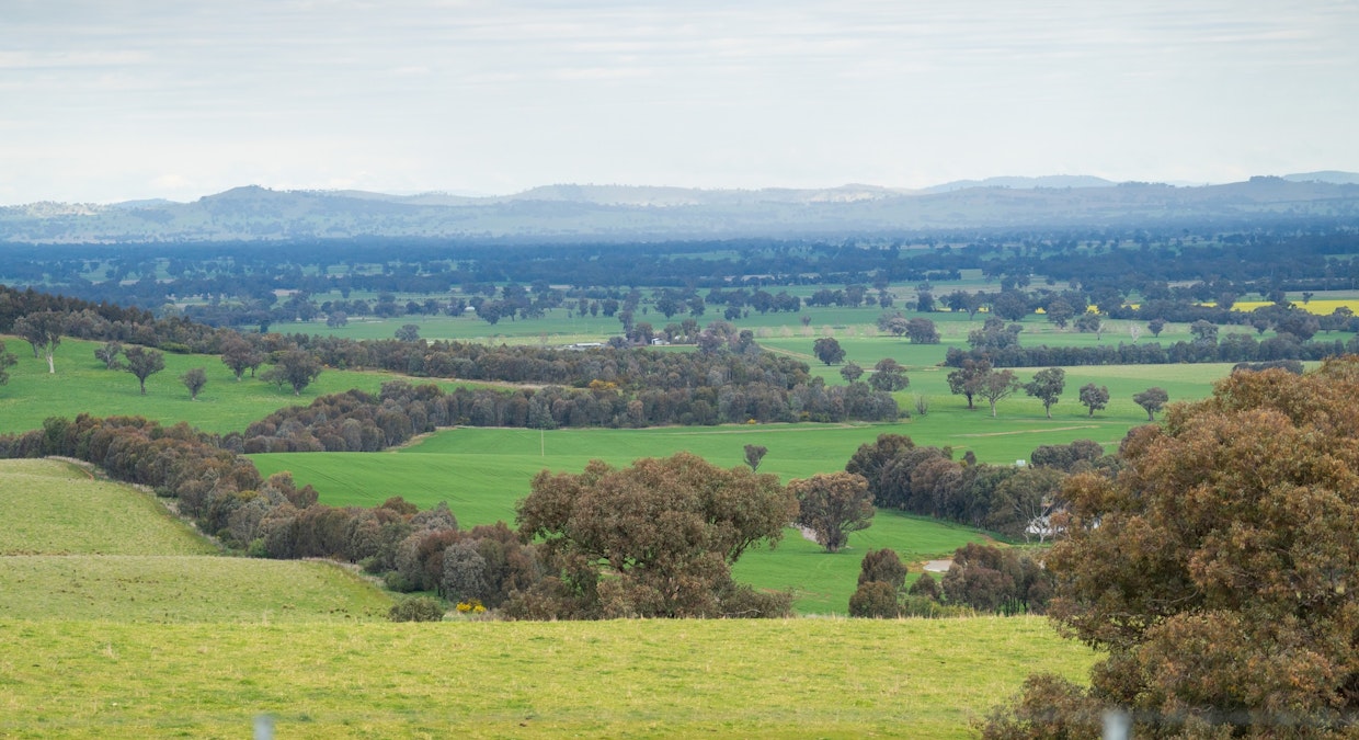 Stonehaven | 269 Stonehaven Road, Holbrook, NSW, 2644 - Image 12