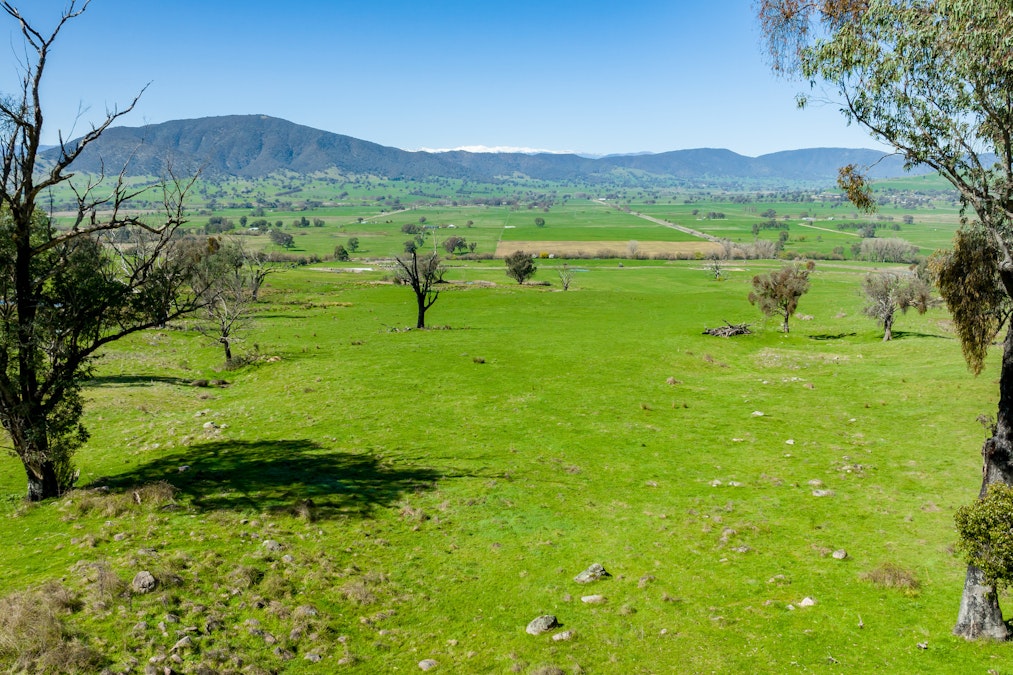 Over The Creek , Corryong, VIC, 3707 - Image 15
