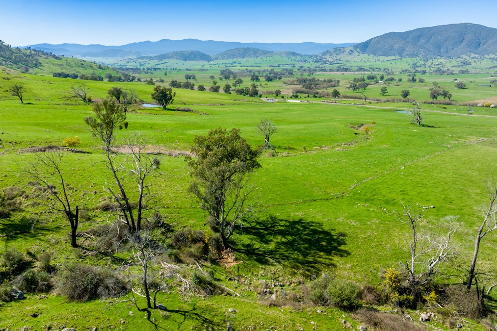 Over The Creek , Corryong, VIC, 3707 - Image 16