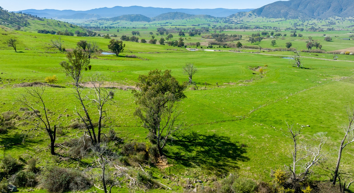 Over The Creek , Corryong, VIC, 3707 - Image 16