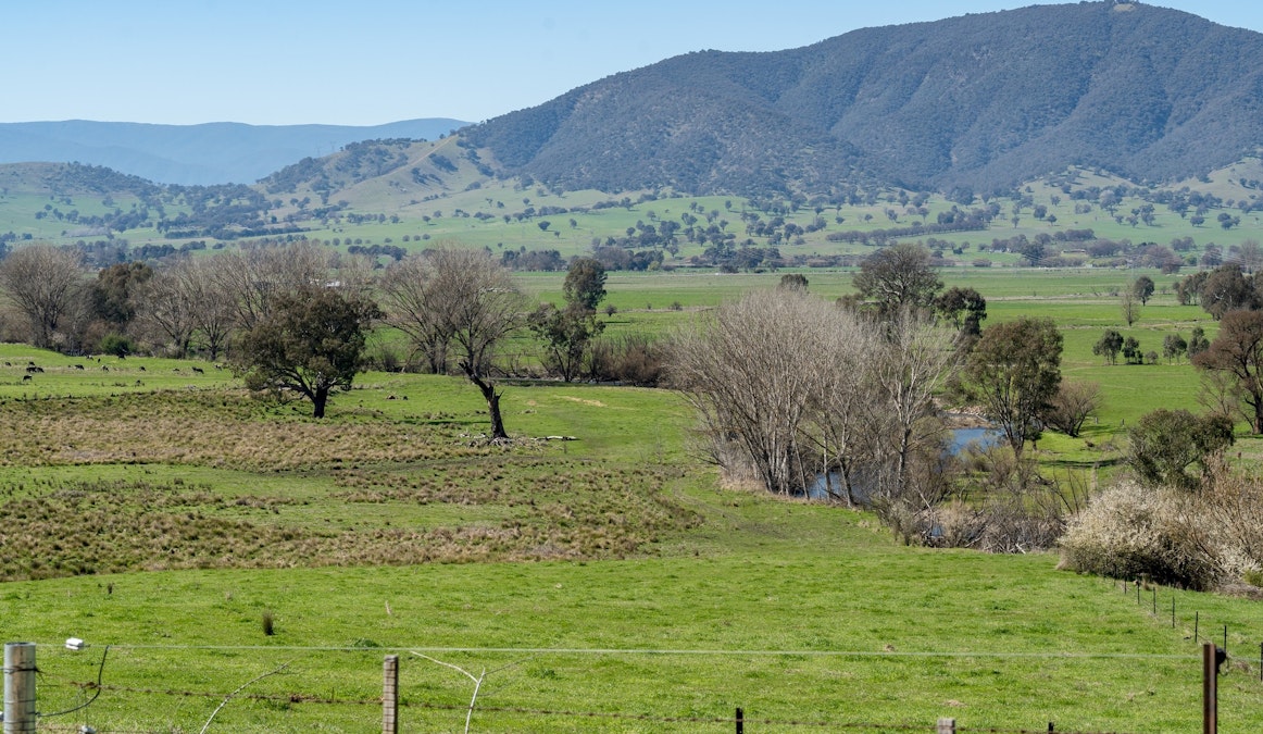 Over The Creek , Corryong, VIC, 3707 - Image 20
