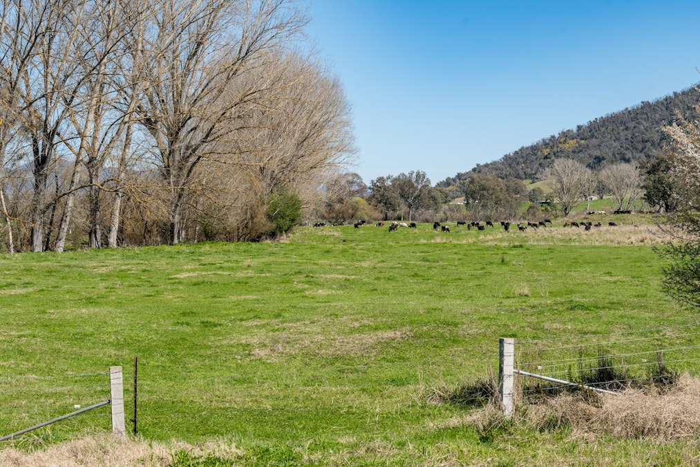 Over The Creek , Corryong, VIC, 3707 - Image 21