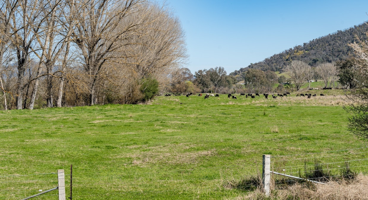 Over The Creek , Corryong, VIC, 3707 - Image 21