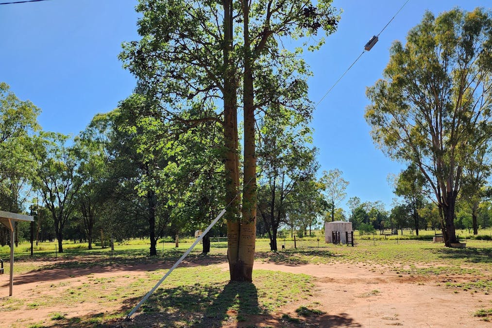 6 Derwent Water Road , Alpha, QLD, 4724 - Image 14