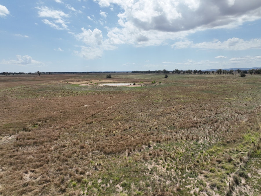 'Tergene South' 849 Tomingley West Road, Tomingley, NSW, 2869 - Image 3