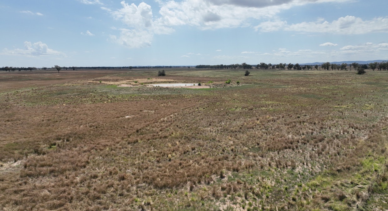 'Tergene South' 849 Tomingley West Road, Tomingley, NSW, 2869 - Image 3