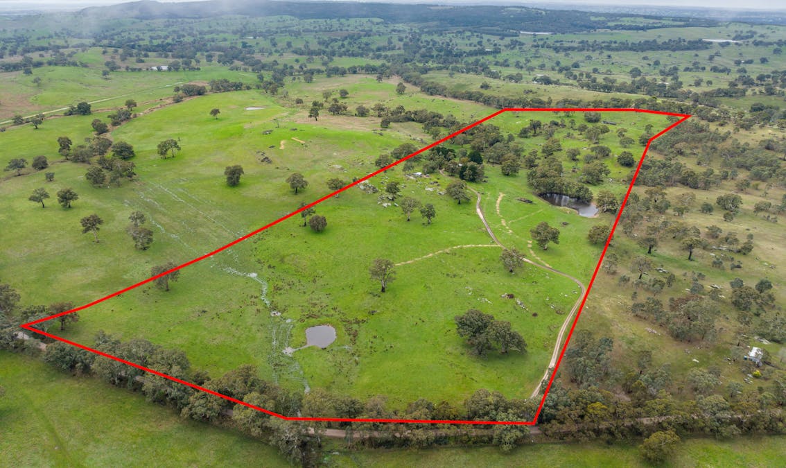 827 Trial Hill Road, Pewsey Vale, SA, 5351 - Image 1