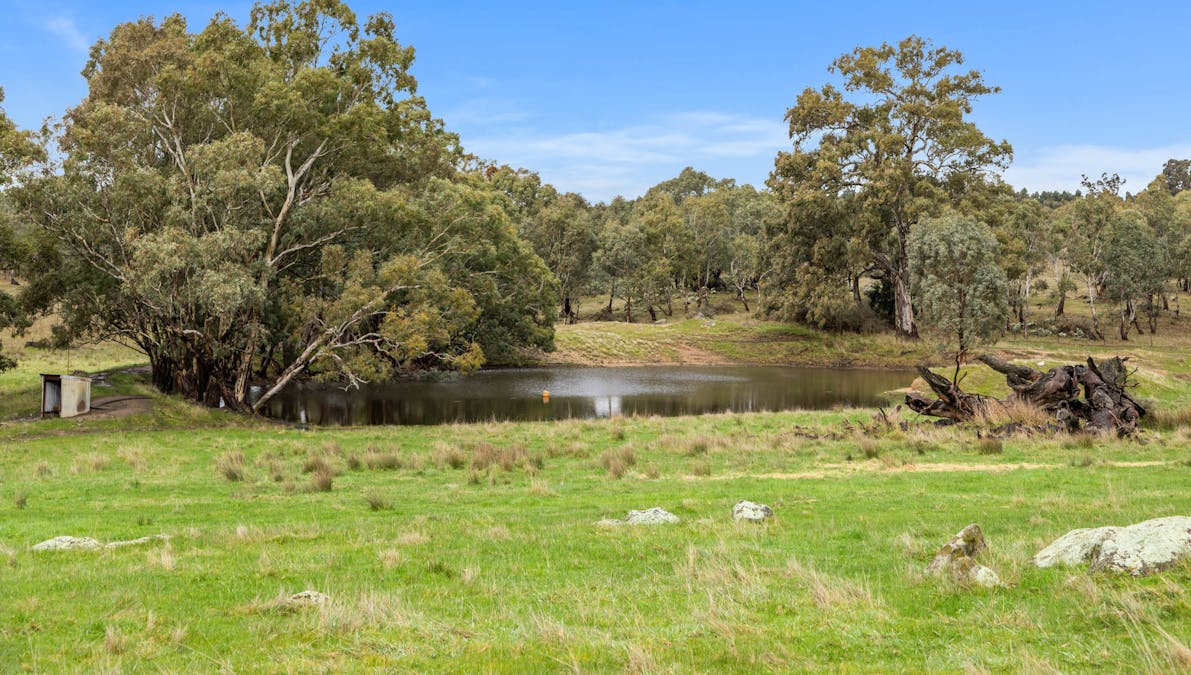 827 Trial Hill Road, Pewsey Vale, SA, 5351 - Image 21