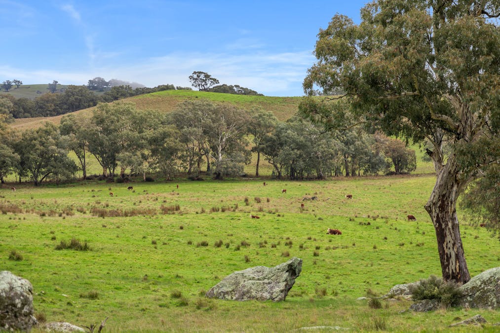 827 Trial Hill Road, Pewsey Vale, SA, 5351 - Image 22