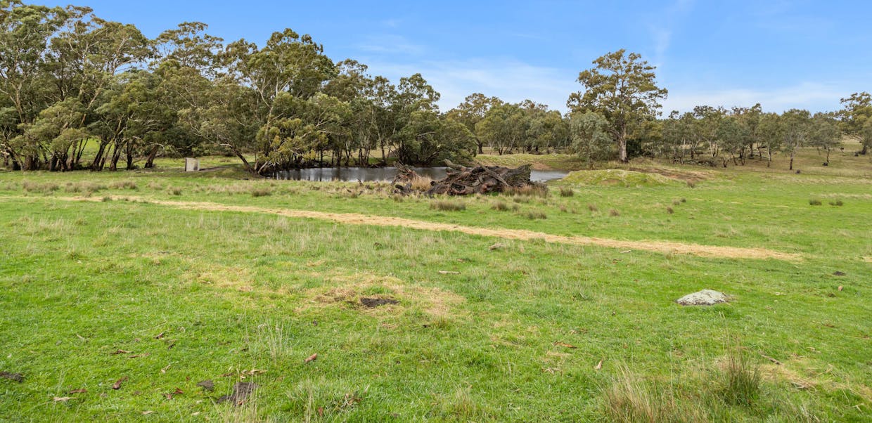 827 Trial Hill Road, Pewsey Vale, SA, 5351 - Image 23
