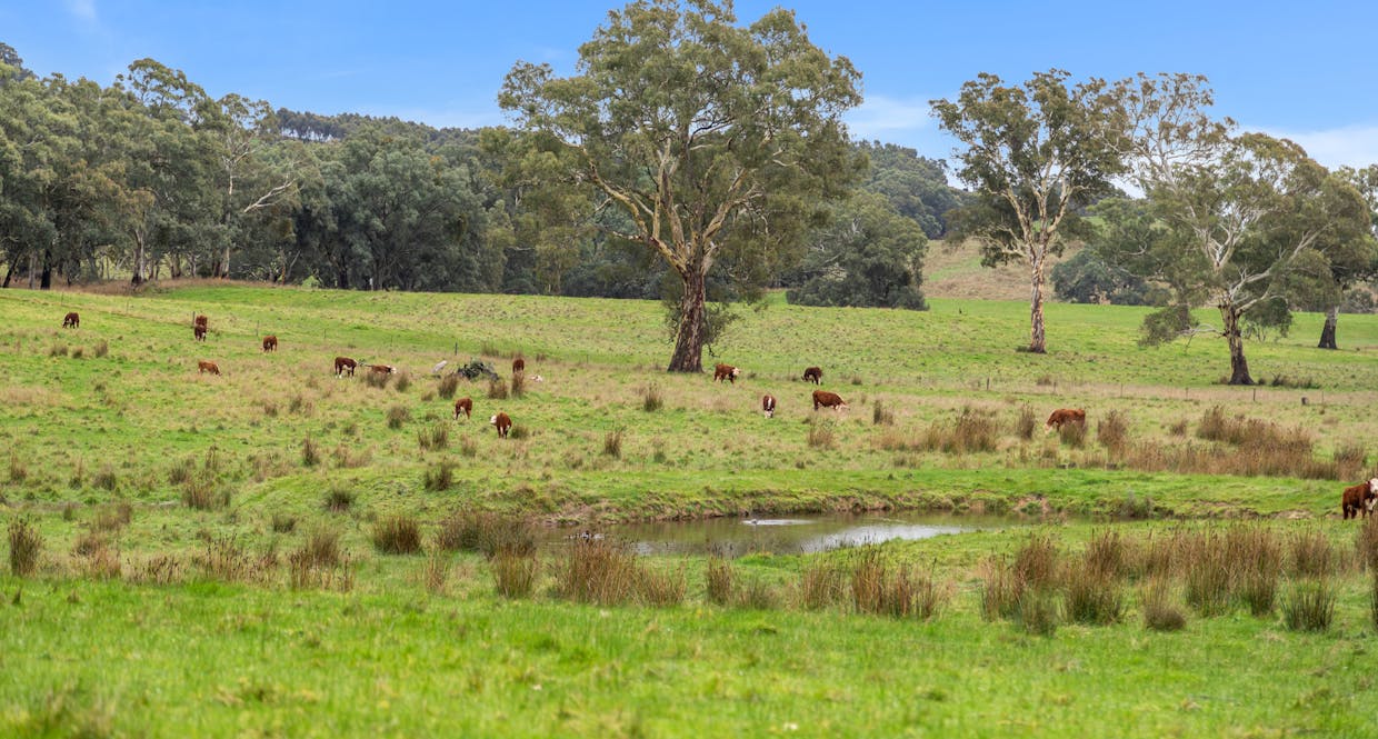 827 Trial Hill Road, Pewsey Vale, SA, 5351 - Image 25