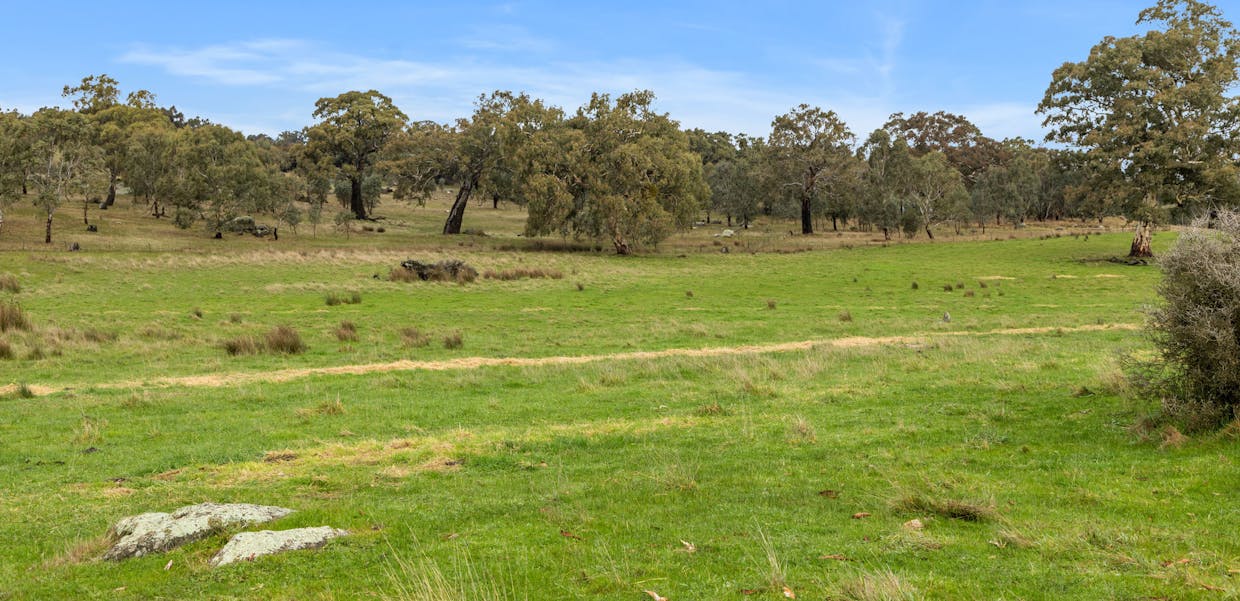 827 Trial Hill Road, Pewsey Vale, SA, 5351 - Image 27