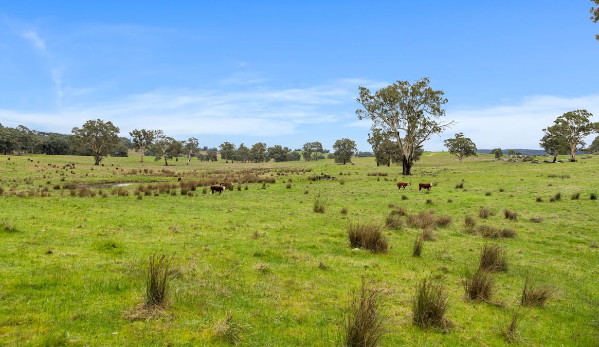 827 Trial Hill Road, Pewsey Vale, SA, 5351 - Image 28