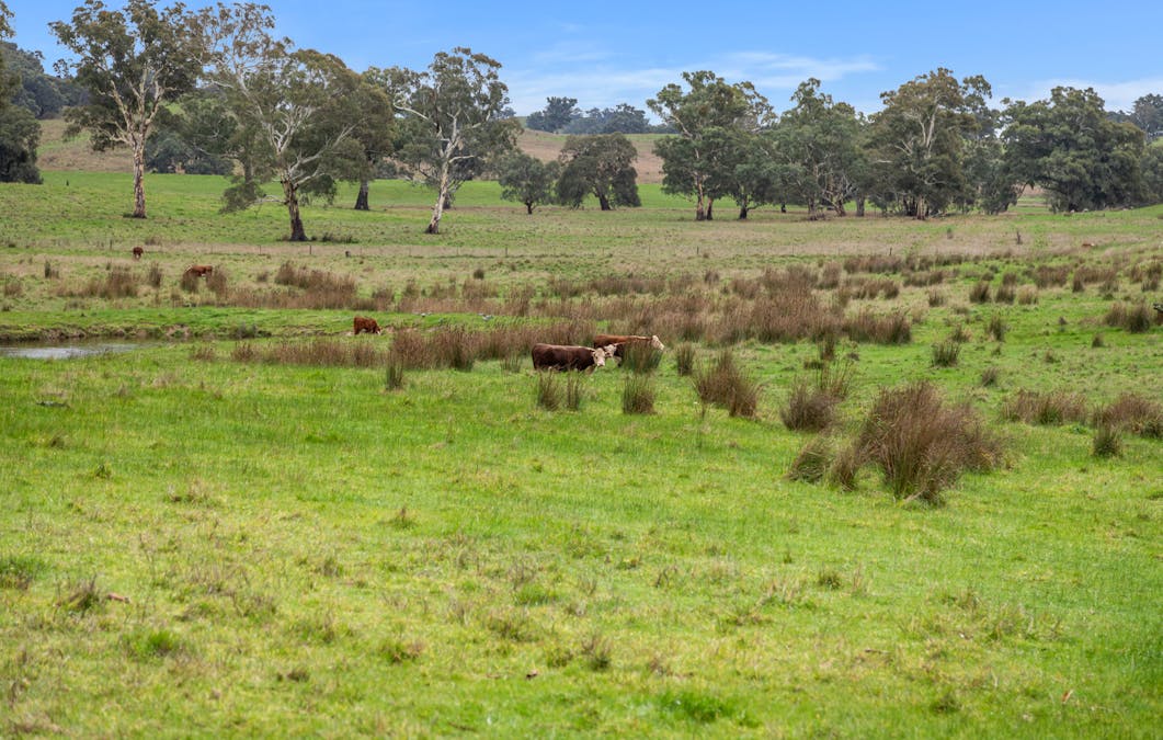 827 Trial Hill Road, Pewsey Vale, SA, 5351 - Image 29