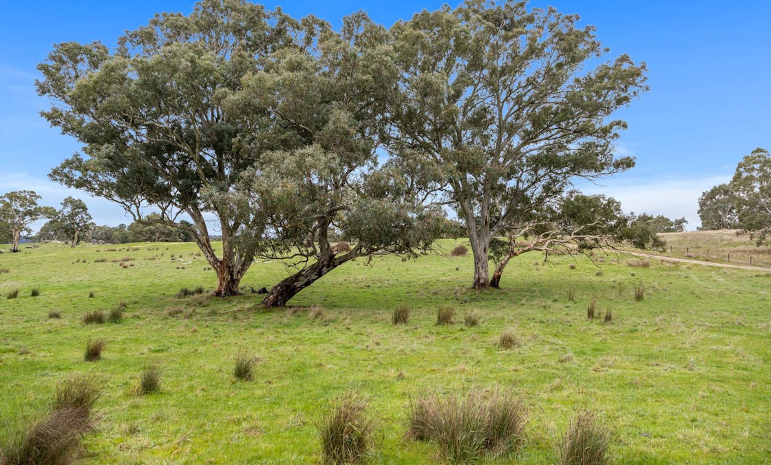 827 Trial Hill Road, Pewsey Vale, SA, 5351 - Image 30