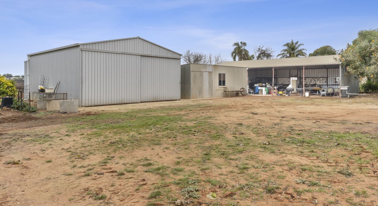 216 Cutler Road, Loxton, SA, 5333 - Image 13