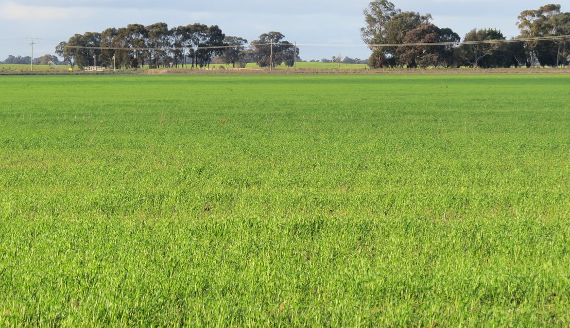 600 Moonee Swamp Road, Deniliquin, NSW, 2710 - Image 9