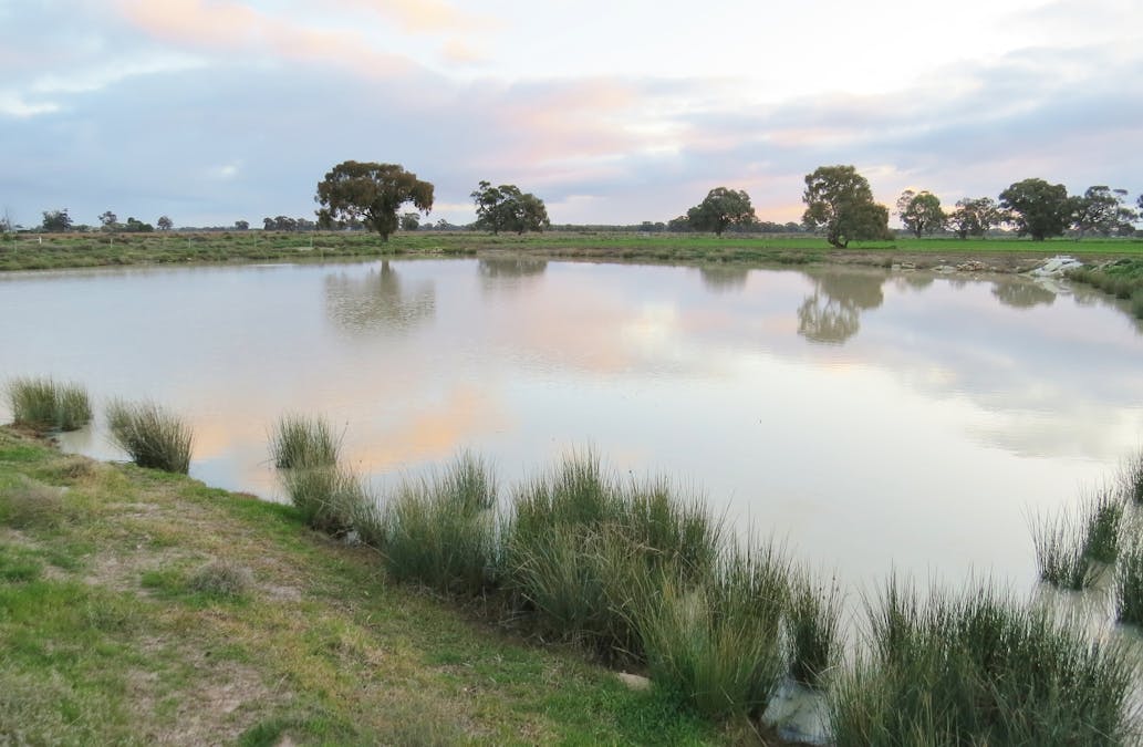 600 Moonee Swamp Road, Deniliquin, NSW, 2710 - Image 18