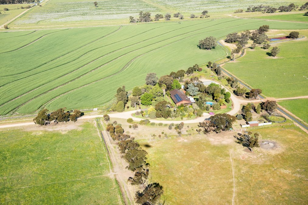 600 Moonee Swamp Road, Deniliquin, NSW, 2710 - Image 1