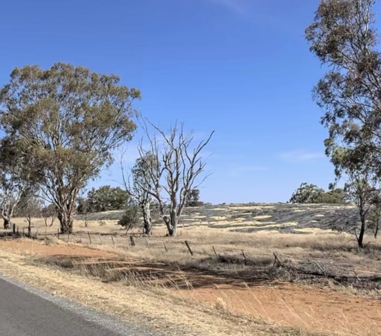 Yarrawonga Road, Berrigan, NSW, 2712 Sold Elders Real Estate