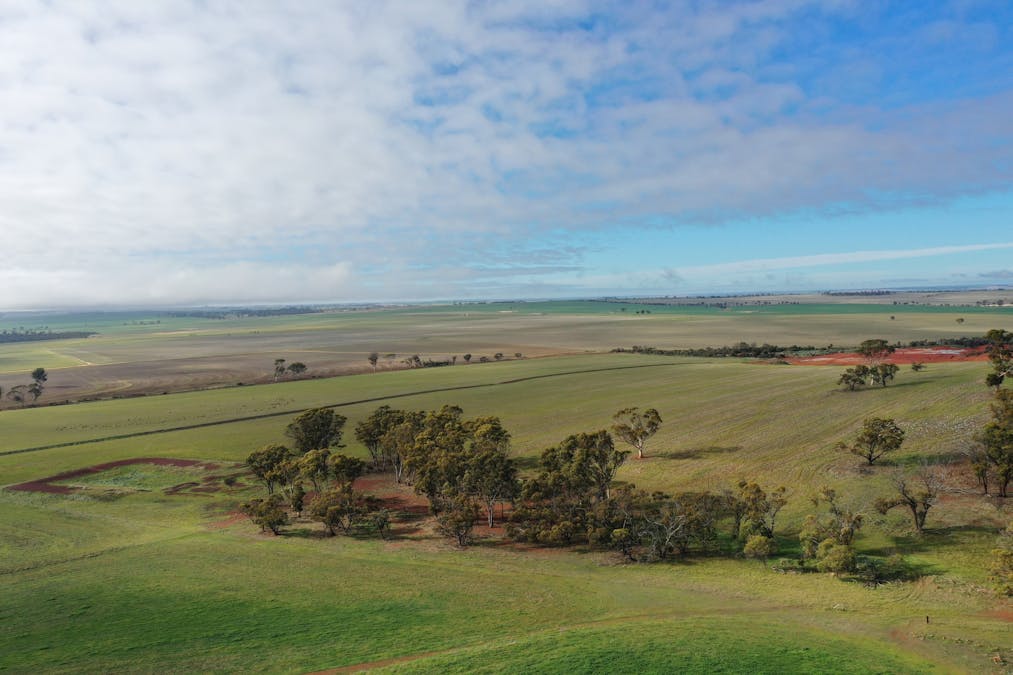 9989/5799/ Quairadng South Road, Quairading, WA, 6383 - Image 19