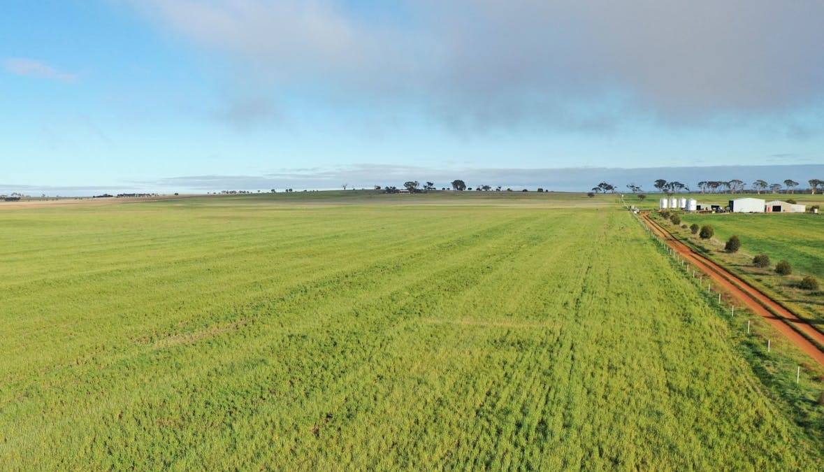 9989/5799/ Quairadng South Road, Quairading, WA, 6383 - Image 1