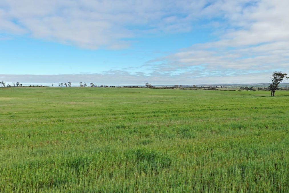 9989/5799/ Quairadng South Road, Quairading, WA, 6383 - Image 21