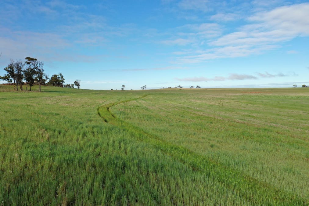 9989/5799/ Quairadng South Road, Quairading, WA, 6383 - Image 22