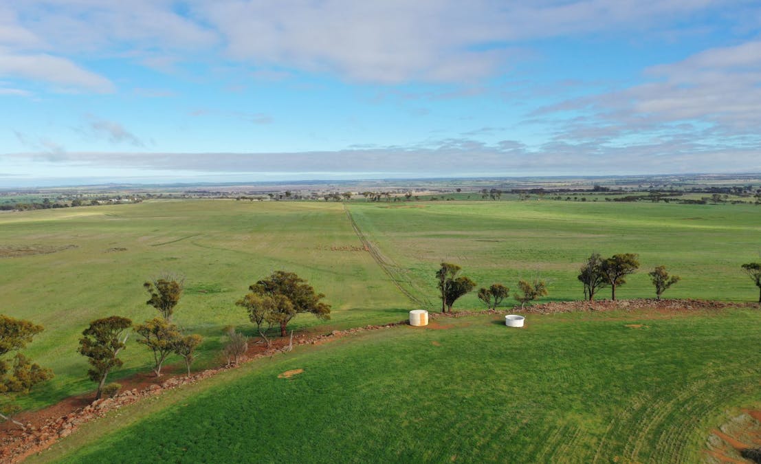 9989/5799/ Quairadng South Road, Quairading, WA, 6383 - Image 3