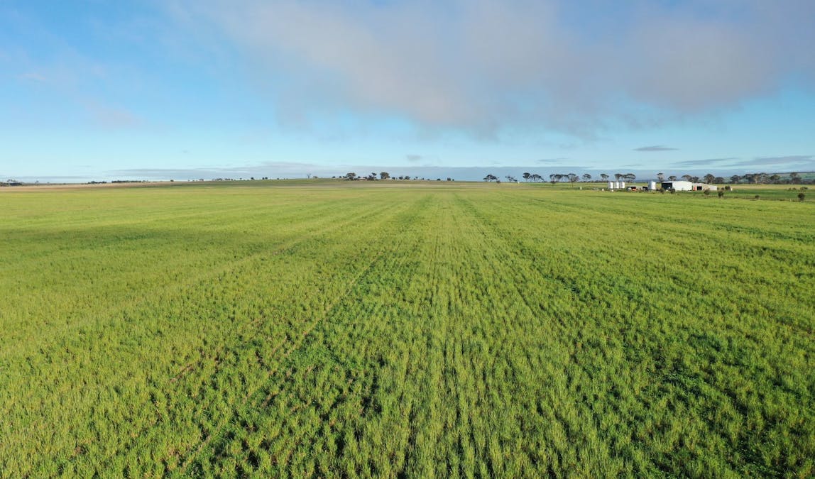 9989/5799/ Quairadng South Road, Quairading, WA, 6383 - Image 6
