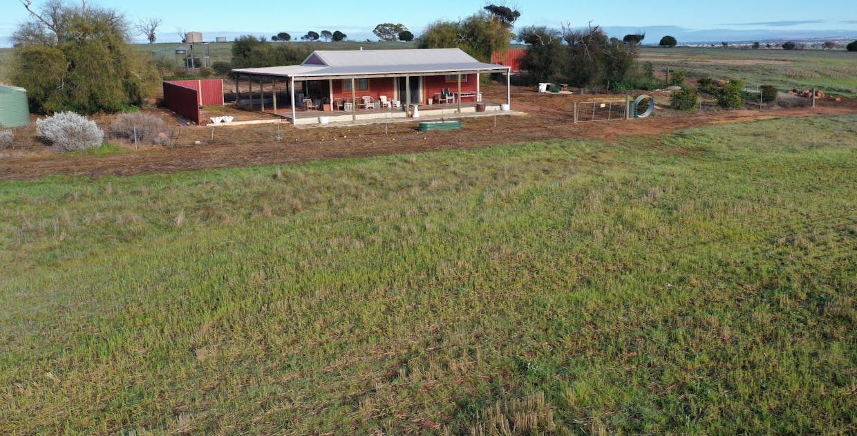 9989/5799/ Quairadng South Road, Quairading, WA, 6383 - Image 10