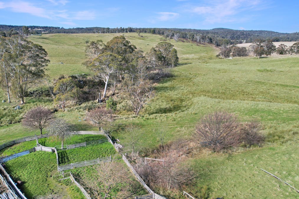 145 Waterhole Gully Road, Bonang, VIC, 3888 - Image 9