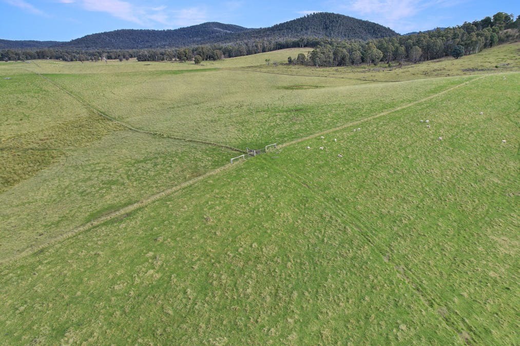 145 Waterhole Gully Road, Bonang, VIC, 3888 - Image 5