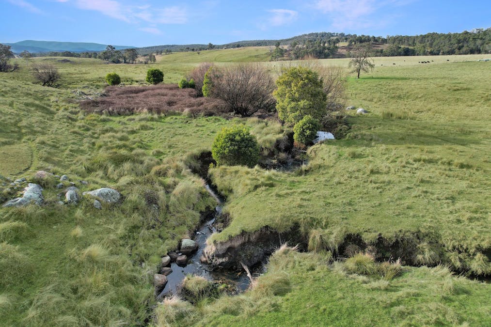 145 Waterhole Gully Road, Bonang, VIC, 3888 - Image 2