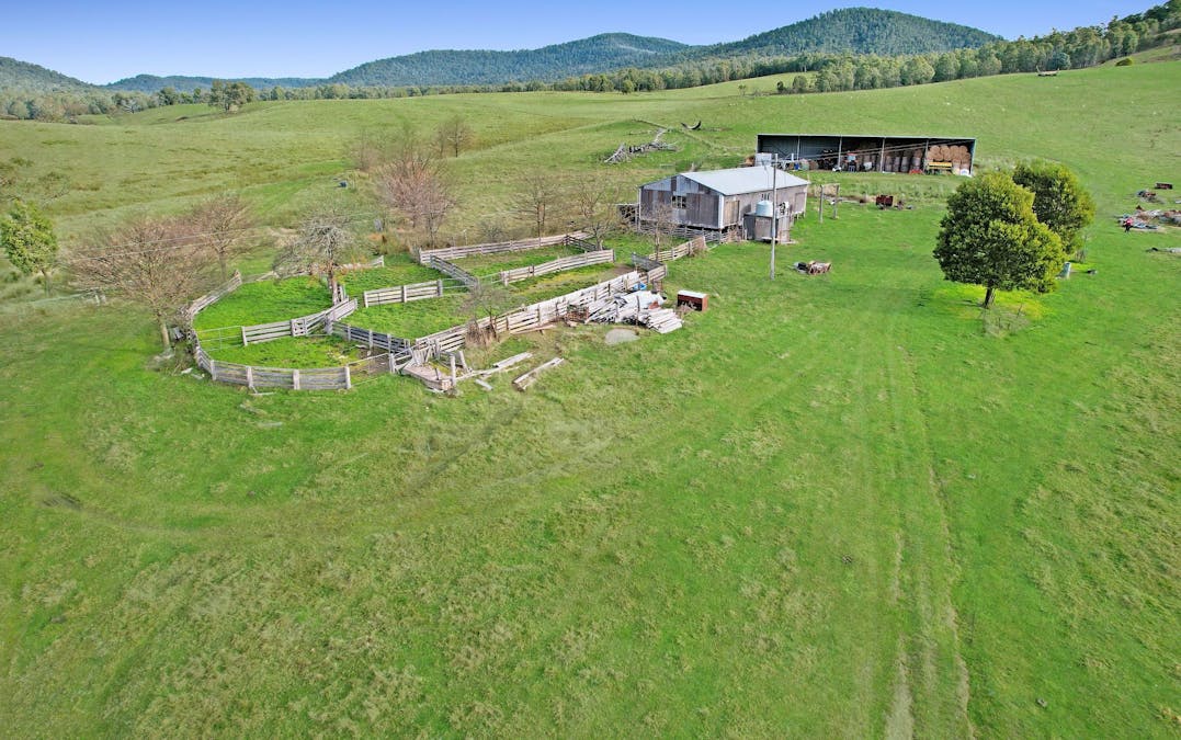 145 Waterhole Gully Road, Bonang, VIC, 3888 - Image 7